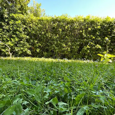 Appartamento Wh - Nella's - Trilocale Duca Sanremo